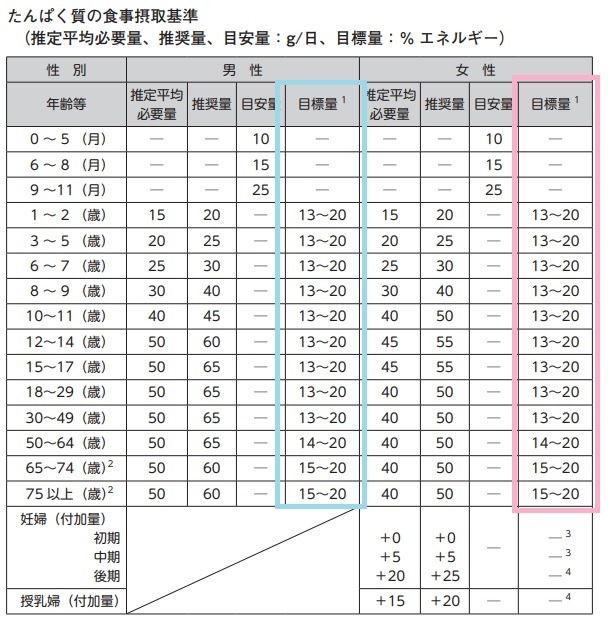 タンパク質摂取基準