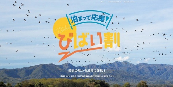 びばい割
