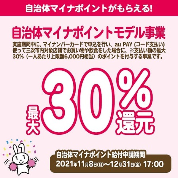 自治体マイナポイント