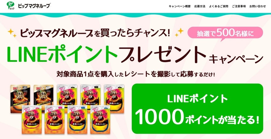 ピップマグネループを買ったらチャンス