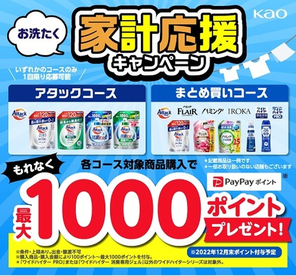 PayPayポイント最大1,000ポイント