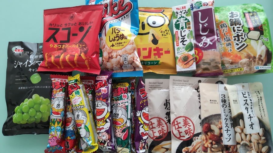 ダイソー大型店でお買物！「#1,000円チャレンジ」