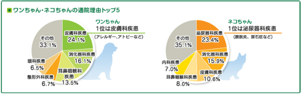 家族の一員だからこそ　～ペット保険＆ペット信託～