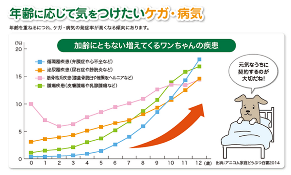 家族の一員だからこそ　～ペット保険＆ペット信託～