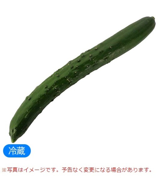 オーケーネットスーパーのきゅうり（オネストカード付）