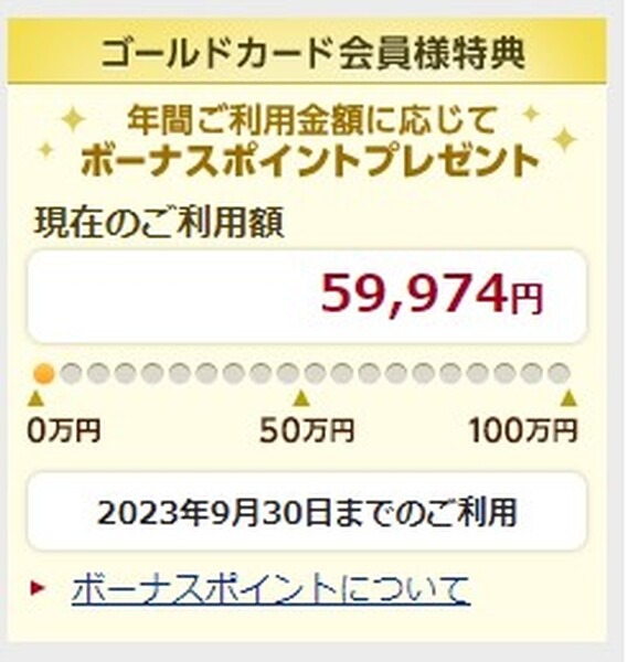 ボーナスポイント