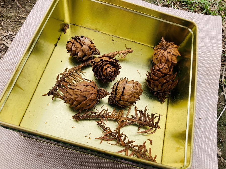 火起こし用のアイテム