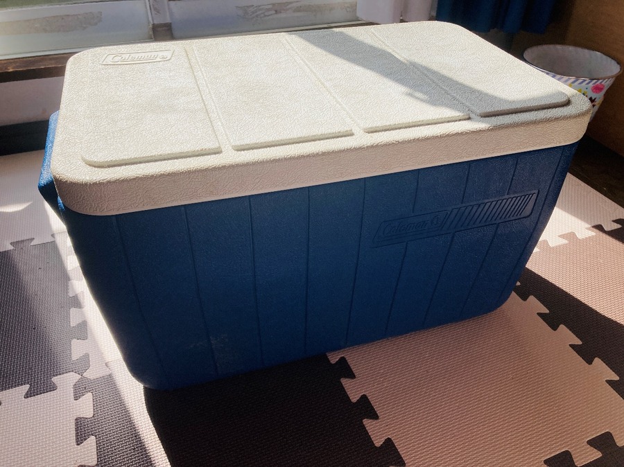 クーラーボックスはできるだけ持っておいた方が良い