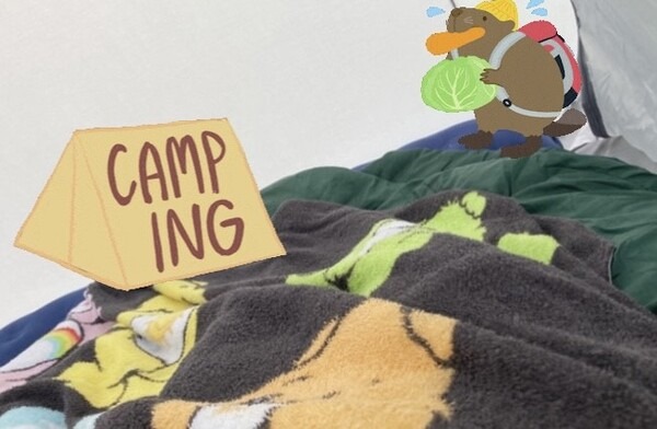 無料で利用できるキャンプ場(関東)　初心者必見の持ち物について