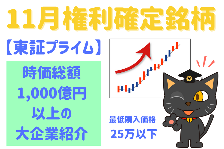 時価総額 1,000億円以上の 大企業