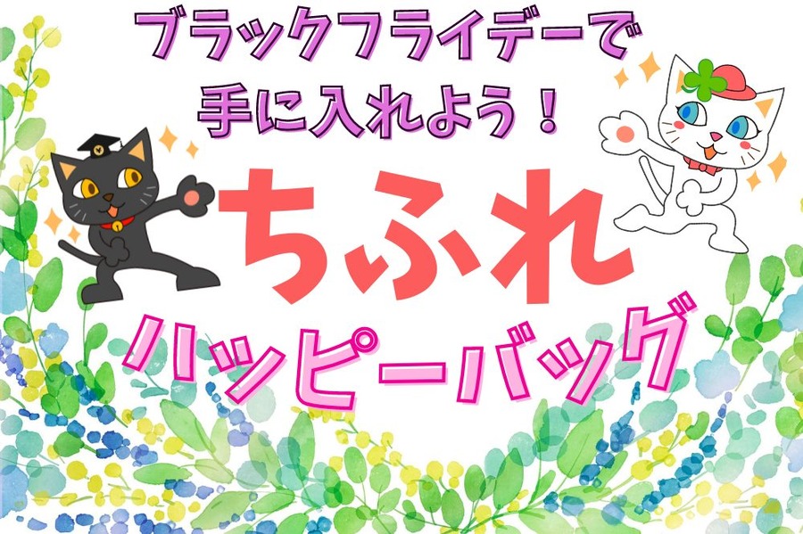 ブラックフライデーで 狙おう！