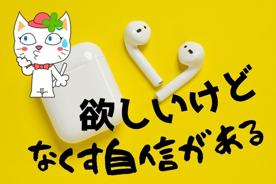 カナル型イヤホンはなくす自信あり