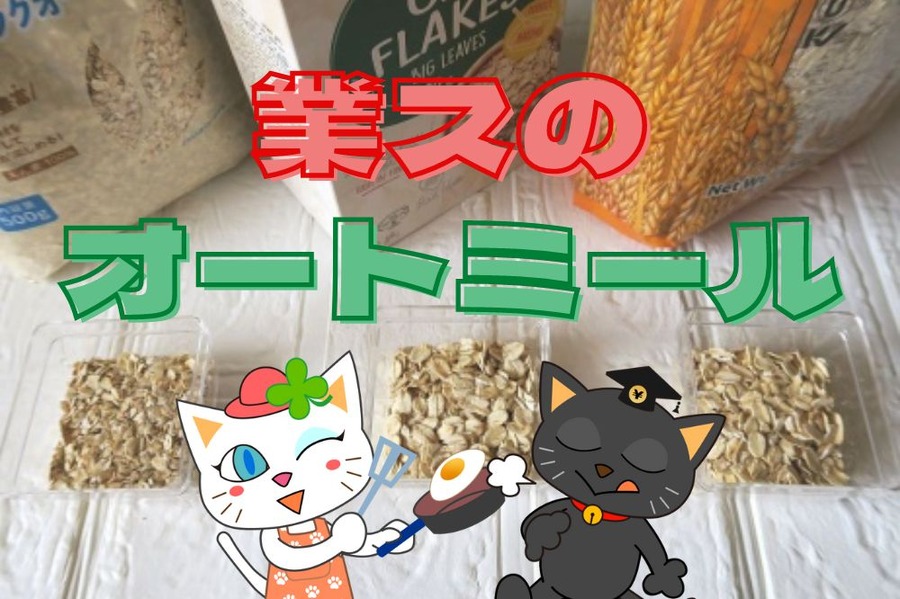 業スのオートミール