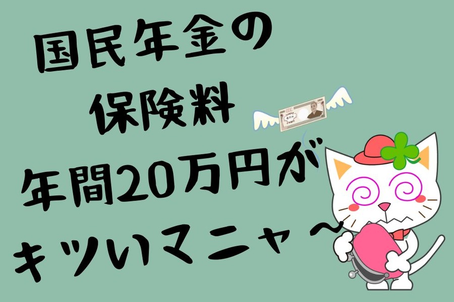 国民年金の保険料年間20万円支払いがつらい