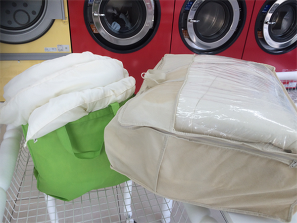 掛布団と敷布団