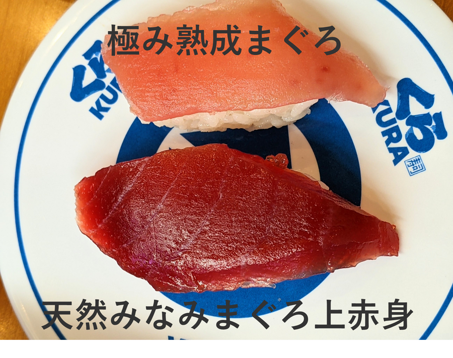 天然みなみまぐろ上赤身