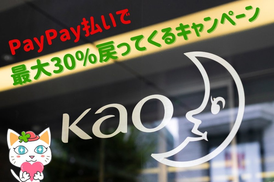 最大30％戻ってくるキャンペーン