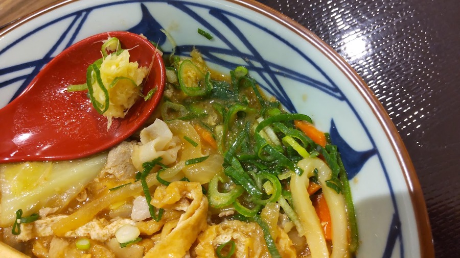 ねぎ、しょうがをトッピングしたのは正解