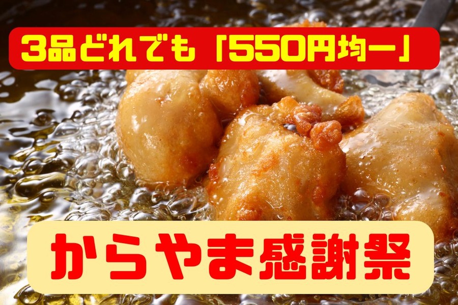 からやま感謝祭