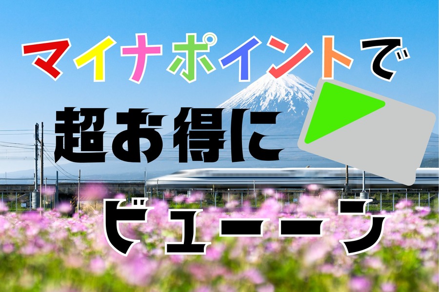 マイナポイントでお得にビューン