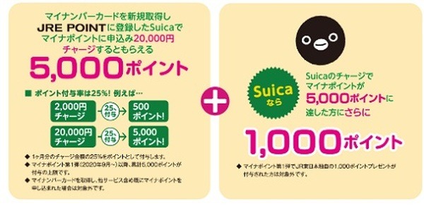 さらなるポイントのチャンス