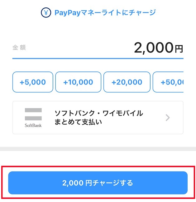 チャージはポイント還元の対象外