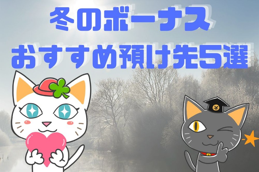 冬のボーナス おすすめ預け先5選