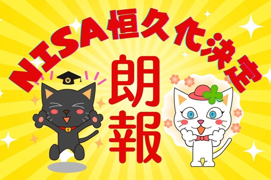 NISA恒久化決定