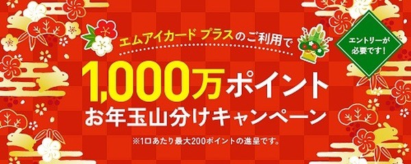 エムアイカード