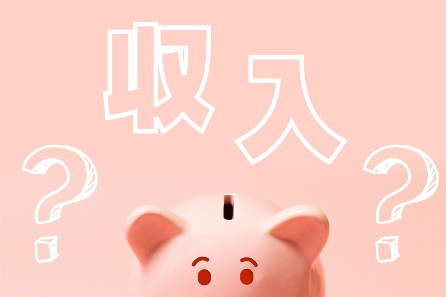 何が収入に含まれるか注意
