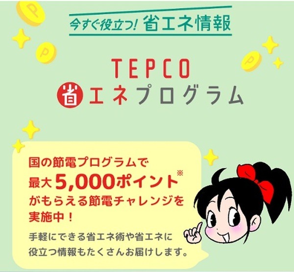 節電プログラムとの併用が効果的