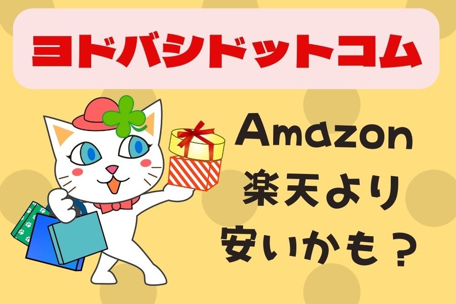 ヨドバシドットコムが安いかも