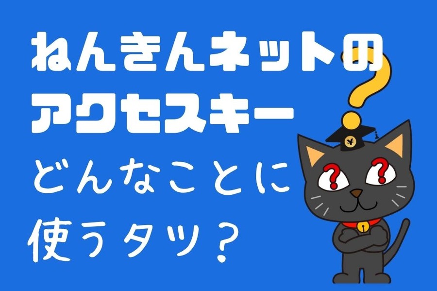 ねんきんネットのアクセスキーって どんなことに 使うタツ？