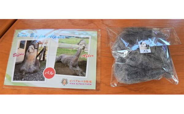 アルパカの毛という返礼品