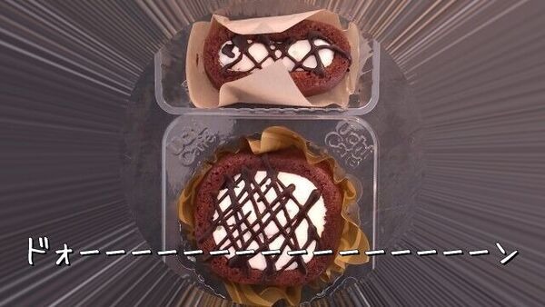 サイズ感がまったく違う