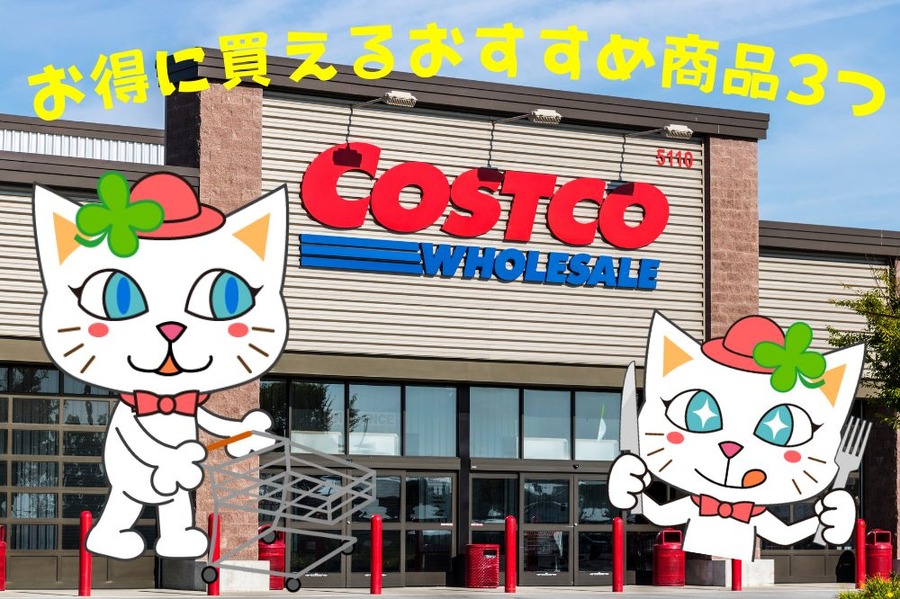 お得に買えるおすすめ商品3つ
