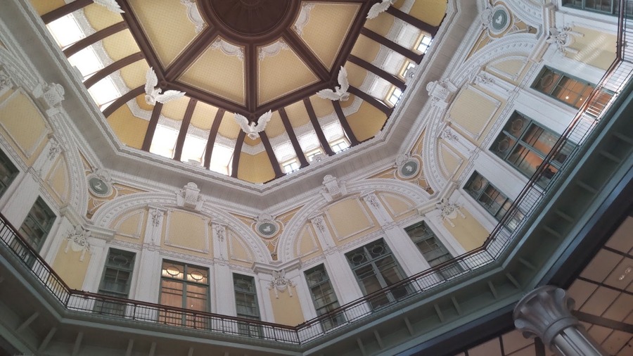 東京大学総合博物館