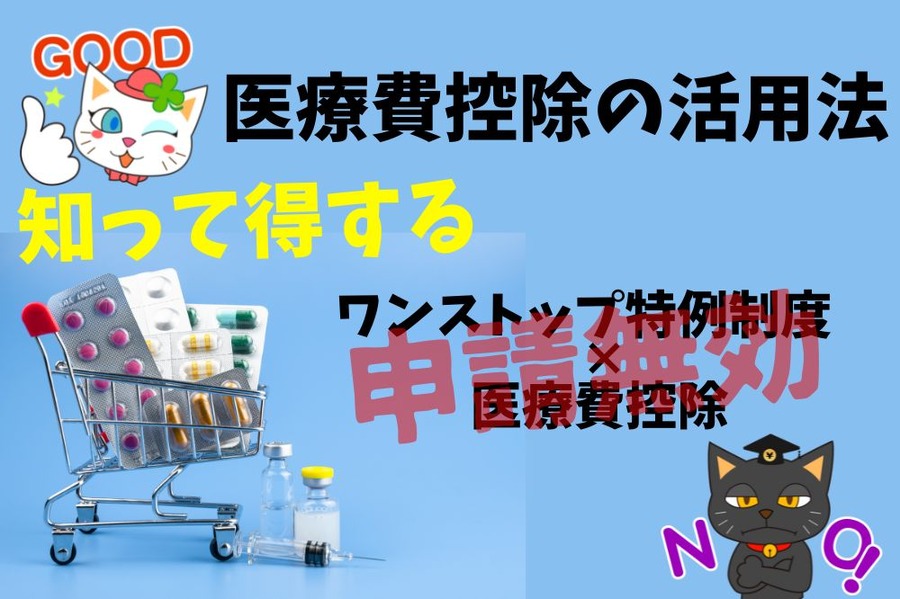 医療費控除
