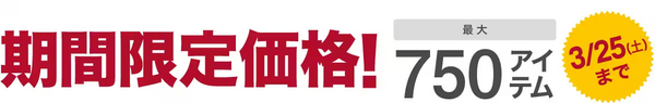 期間限定価格