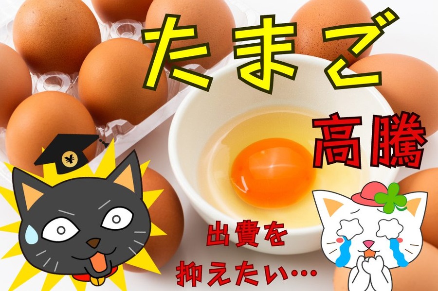 出費を抑えたい
