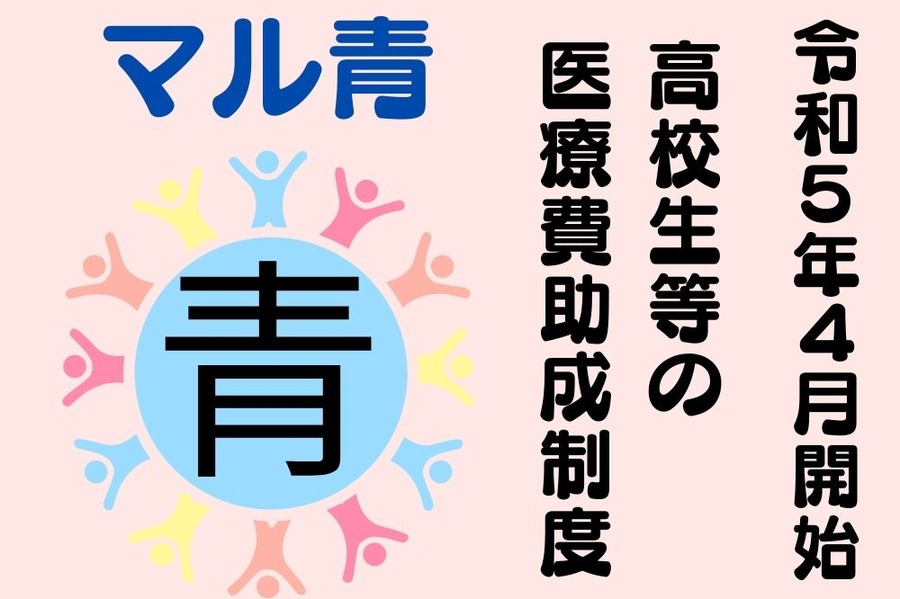 マル青開始