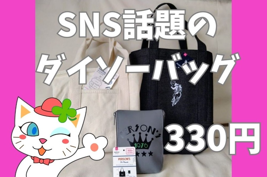 SNS話題のダイソーバッグ