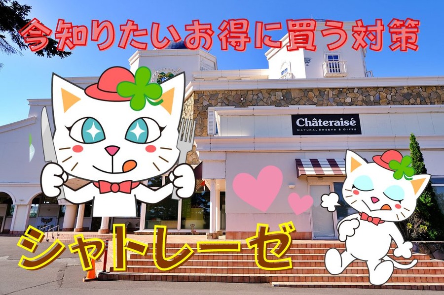 今知りたいお得に買う対策