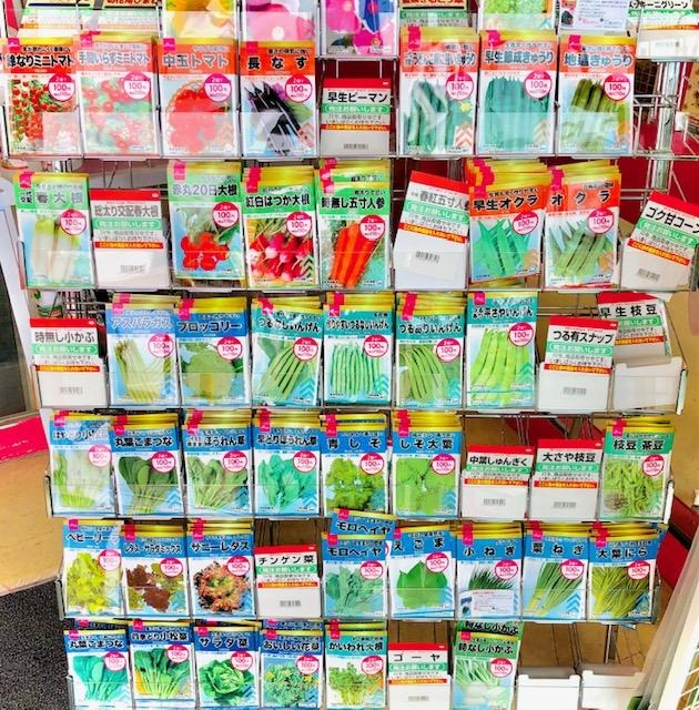 野菜の種