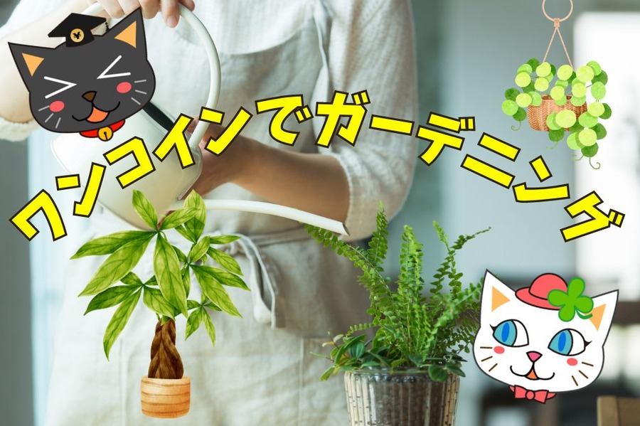 ワンコインでガーデニング