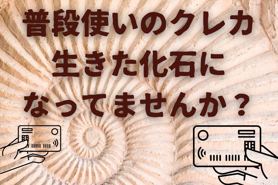 生きた化石のクレカ持っていません？