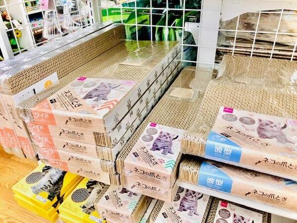 猫の爪とぎ
