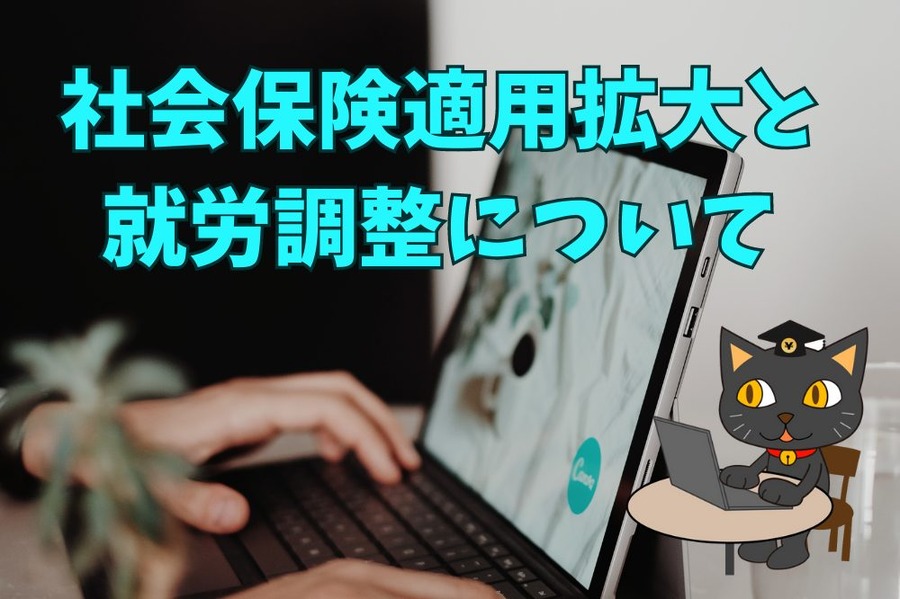 社会保険適用 拡大と 就労調整