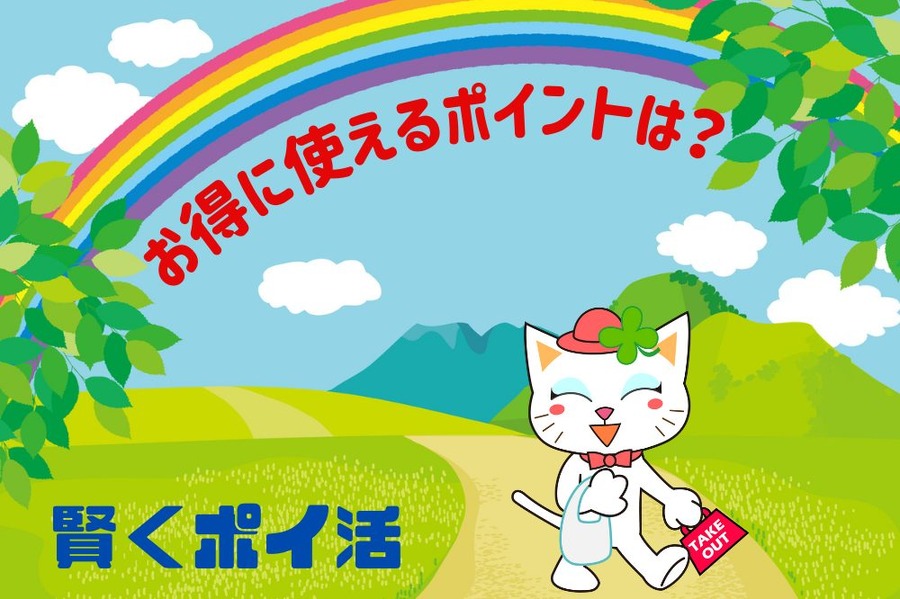 賢くポイ活