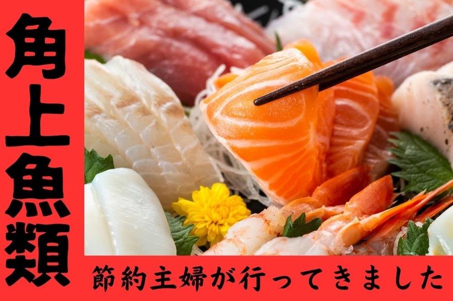 角上魚類に行ってきました